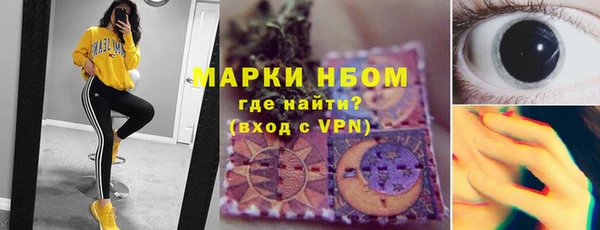 шишки Баксан
