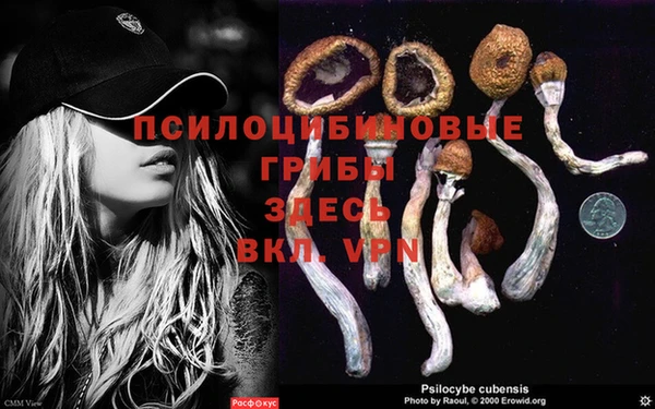 шишки Баксан