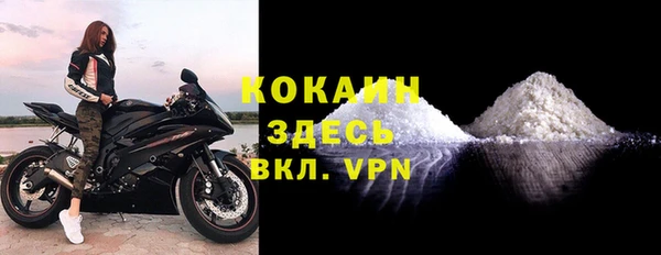 шишки Баксан