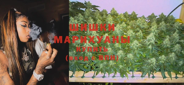 шишки Баксан