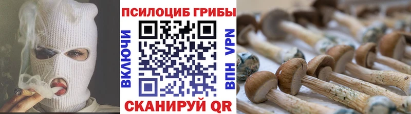 магазин  наркотиков  блэк спрут вход  Галлюциногенные грибы ЛСД  Неман 