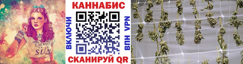 Бошки Шишки семена  даркнет сайт  Неман 
